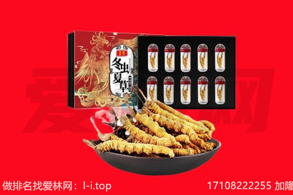 东莞市企石镇回收虫草.jpg